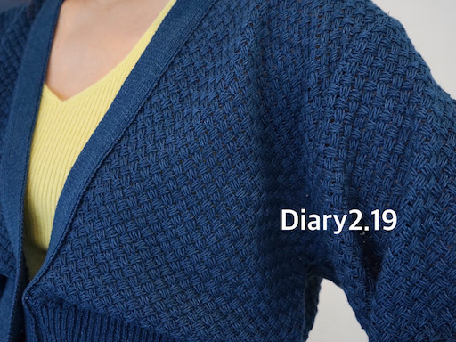 diary2.19