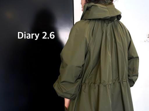 diary 2.6