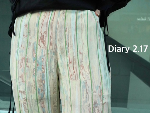 diary 2.17