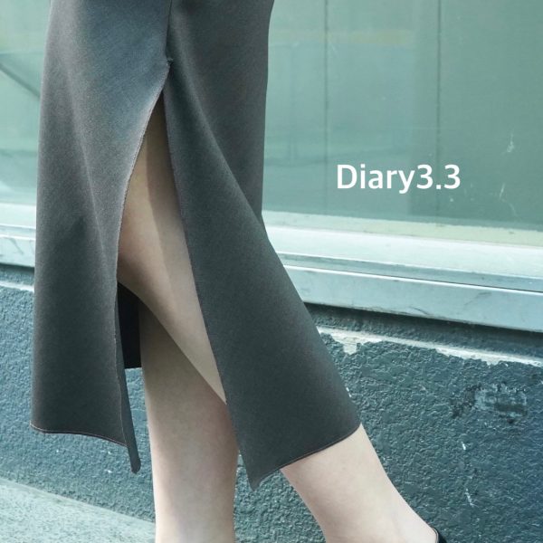diary3.3