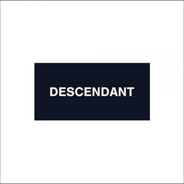DESCENDANT /新作アイテム入荷 “CORAL 5PANEL”