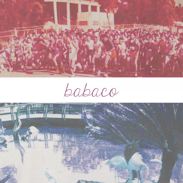 babaco ​/ 新作アイテム入荷 “rganic Cotton T-Shirt W/print”