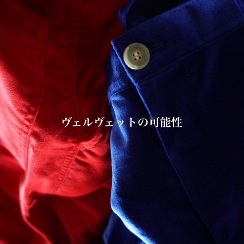 ヴェルヴェットの可能性