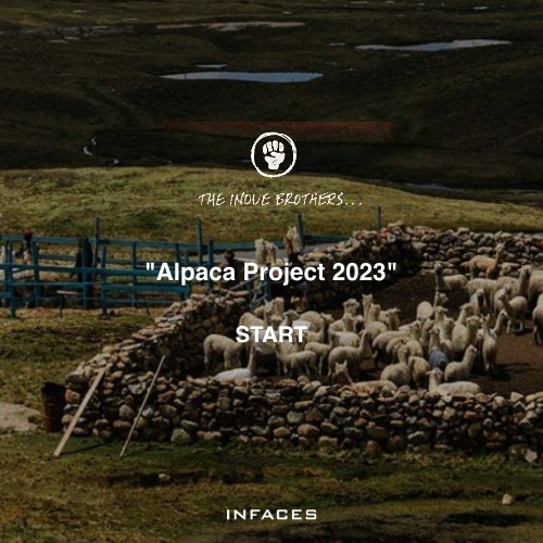 The Inoue Brothers…    ” Alpaca Project 2023″  Accessory