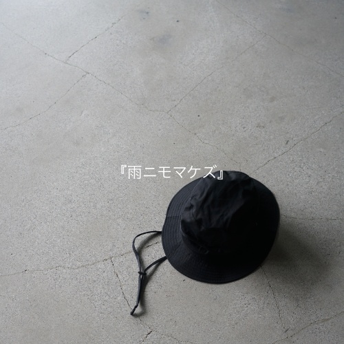 『雨ニモマケズ』