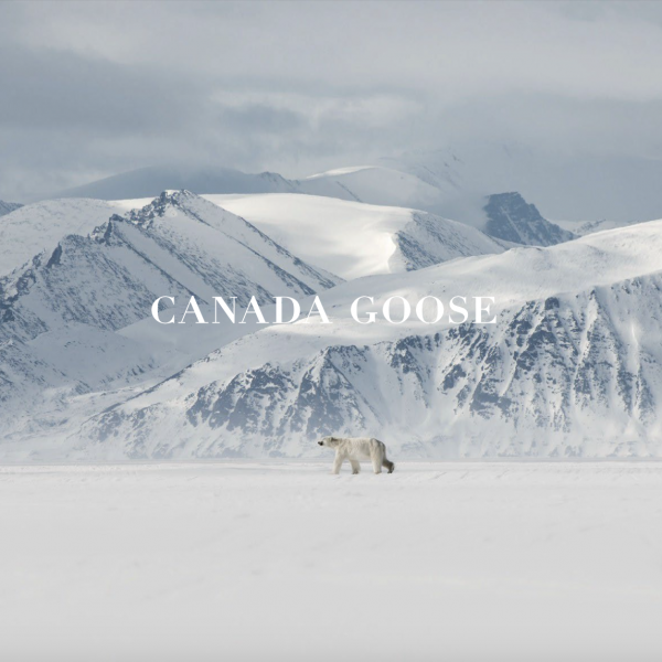 CANADA GOOSE